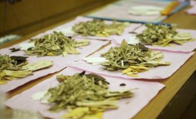 中醫藥產業迎“政策＋剛需”雙利好