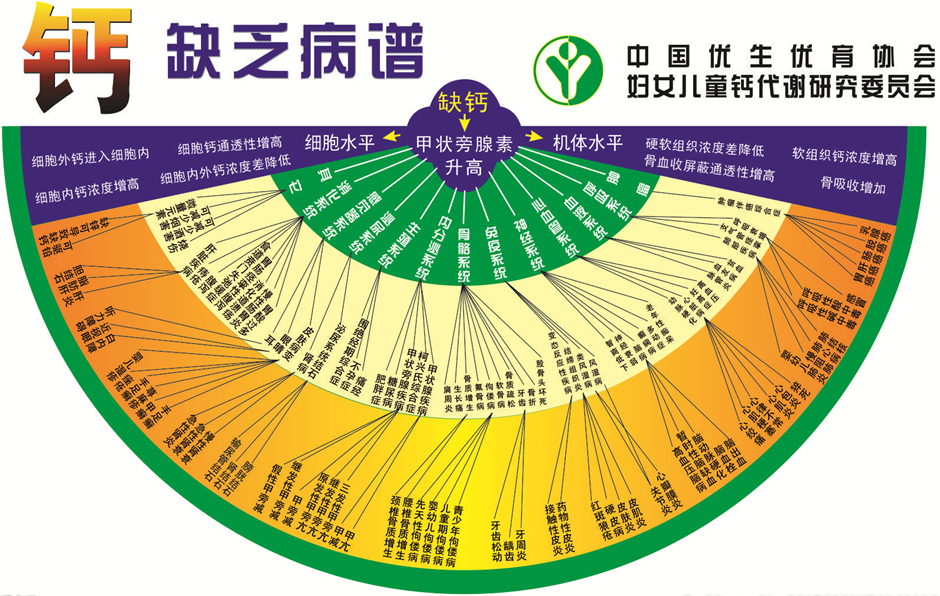 請查收|兒童營養素之維生素與鈣