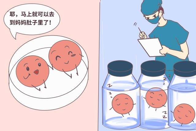 哪些胚胎可用于移植？了解下！