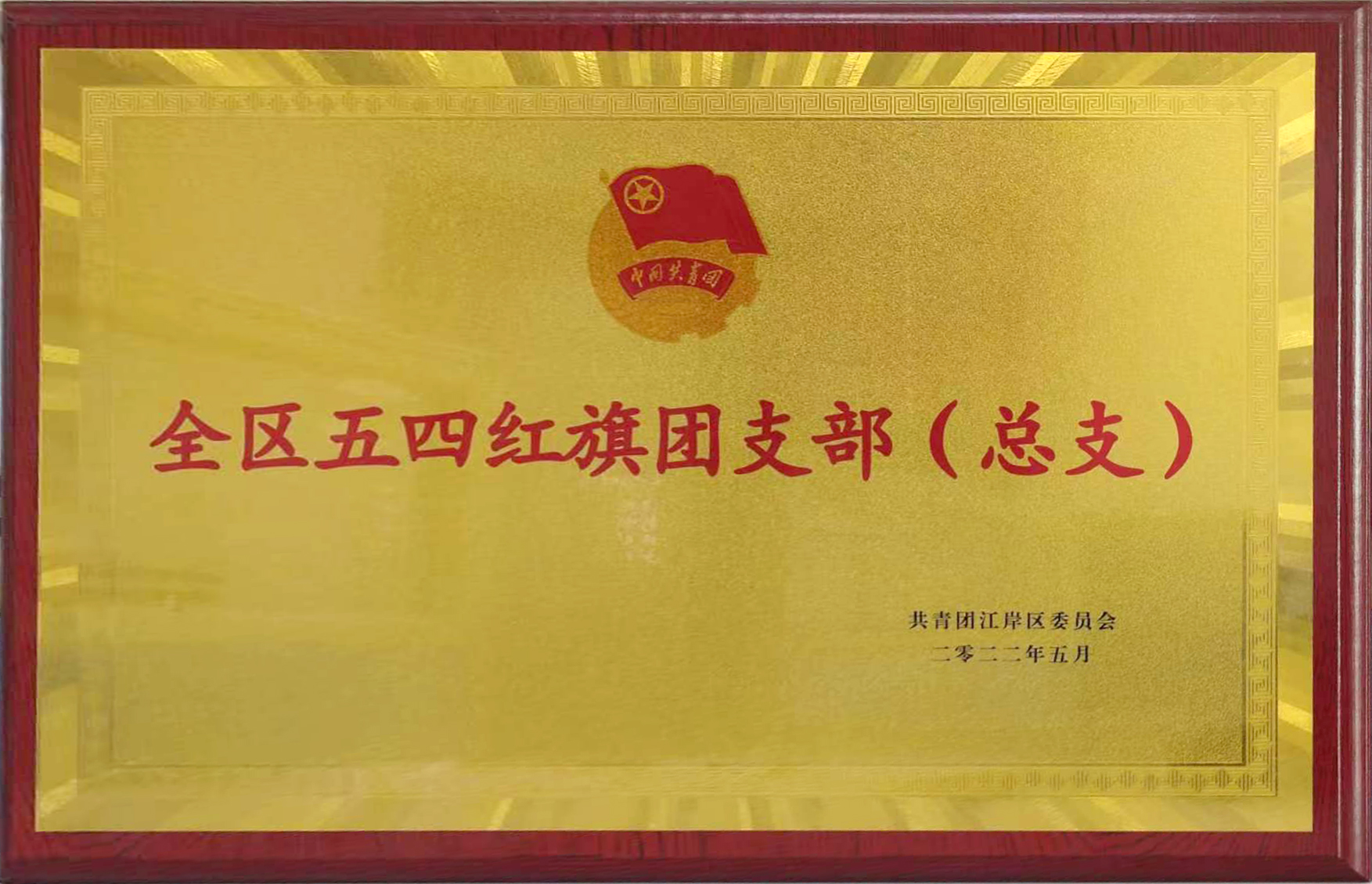 共青團成立100周年之際，東信醫藥團支部喜獲武漢市江岸區“全區五...